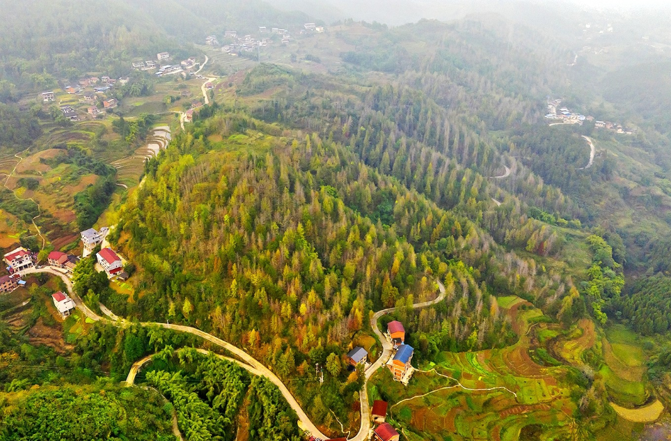 南宁市上林县林地经营权流转